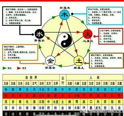 命格 金木水火土|金木水火土命查询表